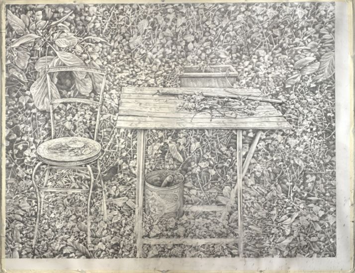 Piero Vignozzi. Natura - 