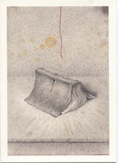 Elogio della polvere - 