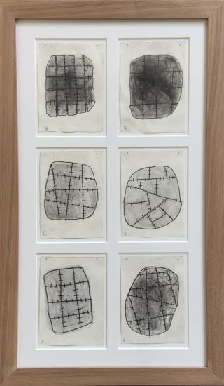Legni cuciti - Composizione di 6 disegni a matita su carta