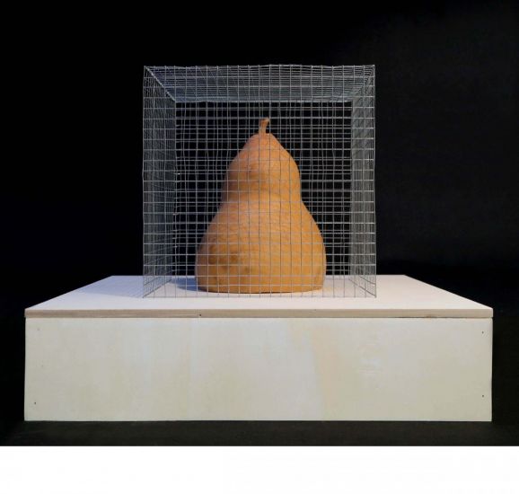 Archetipi - Andrea Branzi, Archetipi n. 7, 2019, zucca, legno e rete metallica, 50 x 50 h 40 cm ph. Daniele Macchi