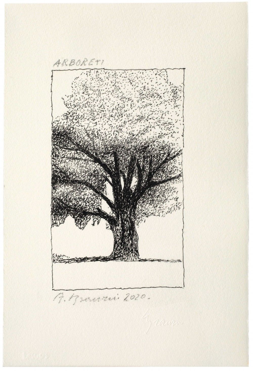 Mostra Pali e Frasche