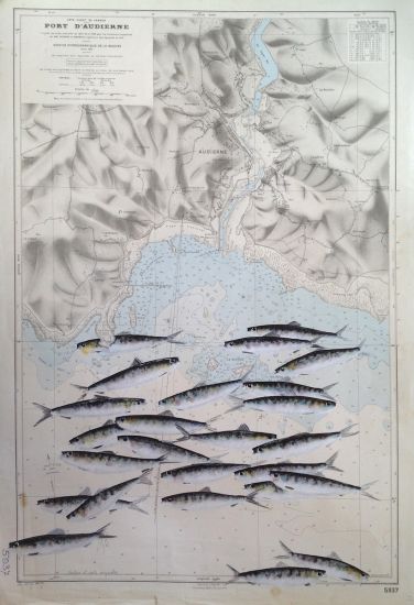 Pesci - Diane Loranchet, Port D'Audierne, 2016, olio su carta nautica, cm 53x27,5