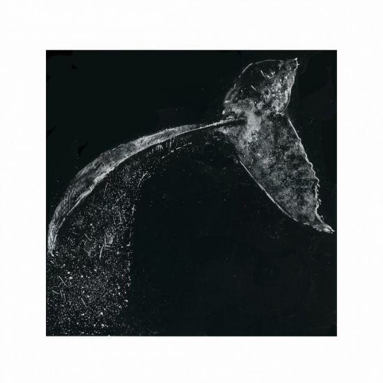 Marco Palmieri, Giorgio Maria Griffa con Cappelli e Ranzo a Pietrasanta - Giorgio Maria Griffa, Tail, 2018, acquerello su carta, cm 55x55