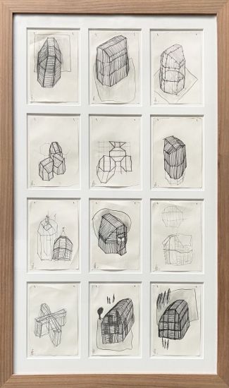 Legni cuciti - Composizione di 12 disegni a matita su carta