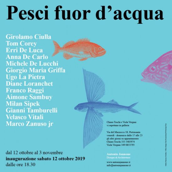 Pesci fuor d’acqua - 