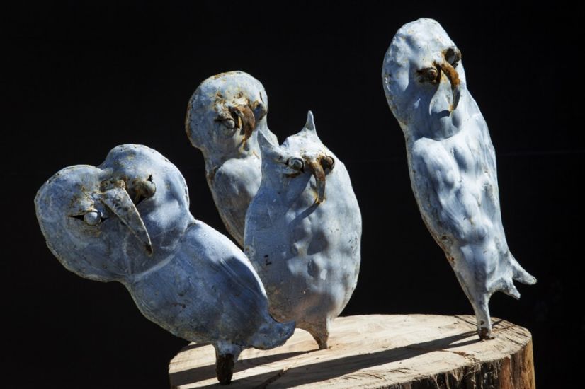 Rentrée scolaire. Ricordi di natura al rientro dalle vacanze - Giovanni Tamburelli, Gufi