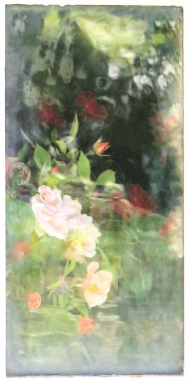 PHOTOFESTIVAL 16TH - VANISHING FLOWERS, 2020, stampa fotografica dietro vetro acrilico, cm 80x40