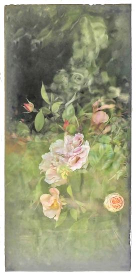 PHOTOFESTIVAL 16TH - VANISHING FLOWERS 2, 2020, stampa fotografica dietro vetro, cm 80x40