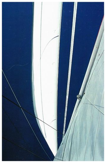 Architetture nel Vento  - 